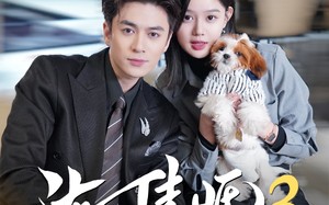 《渐入佳婚3第三部》（60集）短剧在线免费全集追