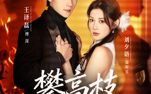 《攀高枝》（70集）在线短剧畅享全集观看