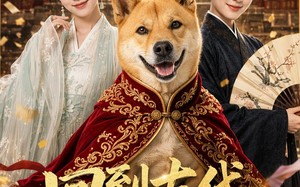 《回到古代当狗王》（60集）超燃短剧一集不落追看