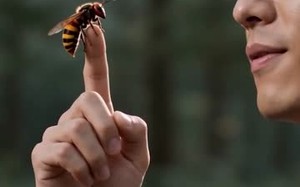 《契约百兽后我无敌了》（70集）免费短剧精彩不停看
