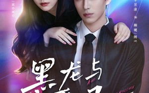 《黑龙与恶凤》（61集）短剧全集免费在线追看