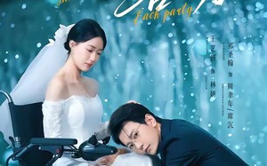 《风起潮声各一方》（84集）热门短剧免费畅快追看