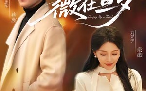 《薇在旦夕》（80集）短剧全集免费畅快追看