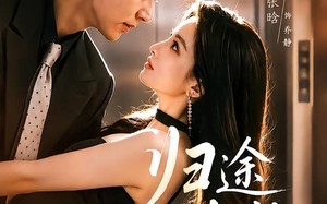 《归途有岸》（80集）超燃短剧全集在线速看