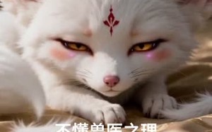 《摄政王的小狐狸》（50集）短剧在线看享甜蜜时光