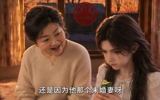 《东北大妞捡了个泡菜国老公》（100集）短剧全集免费在线追看