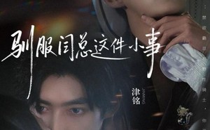 《驯服闫总这件小事》（58集）在线追短剧全集超爽快