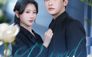 《假装深情》（60集）在线短剧畅享精彩剧情