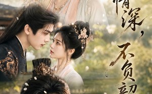 《一履情深，不负韶华》（85集）免费看短剧全集不剧荒