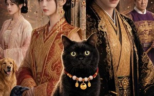 《我捡的黑猫竟是当朝帝王》（63集）免费短剧全集在线看个够