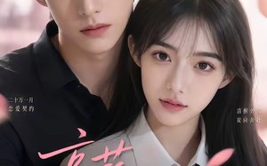 《高薪热恋》（40集）精彩短剧在线一看到底