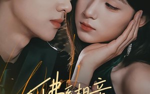 《佛系相亲，遇上较真搭档》（91集）热门短剧全集免费畅享
