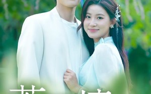 《若深情错付》（60集）在线免费短剧一集不落