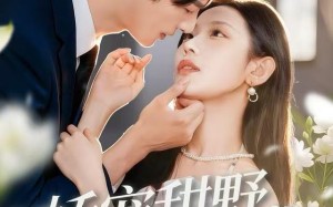 《娇宠甜野小孕妻》（82集）全集短剧免费畅看无阻