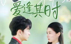 《爱逢其时》（47集）短剧热播中一集不落看