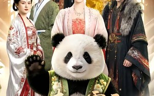 《心声泄露后，我成了全书团宠》（55集）超火短剧免费随心看