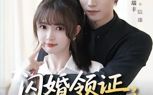 《闪婚领证，陆先生的宠妻日常》（86集）一口气追完短剧全集