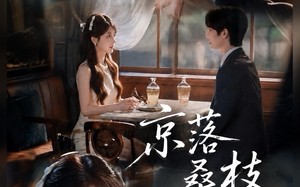 《京落桑枝》（61集）短剧佳作免费尽情观看