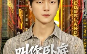 《叫你卧底，没叫你关心大嫂》（80集）短剧免费追全集在线