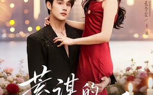 《蓄谋的偏爱》（80集）短剧精彩内容一追到底