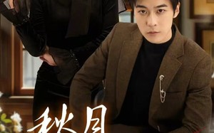 《秋月共星辉》（80集）短剧免费畅享全集观