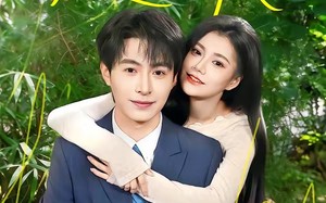 《赵先生结婚证过期不候》（50集）在线畅看短剧超带感