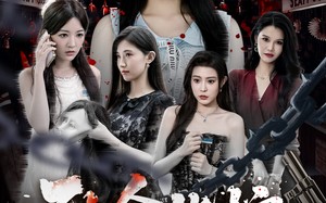 《致命指控》（50集）短剧免费畅享追剧时光