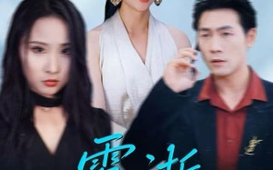 《雾逝》（30集）免费在线短剧全集追完