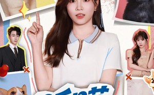 《听喵一声劝》（60集）免费短剧畅享全集追