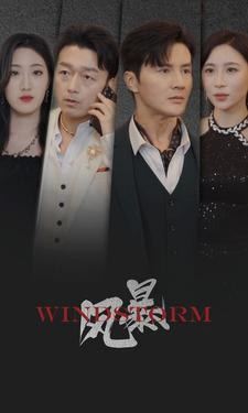 风暴(77集) 风暴(77集)无需会员免费看