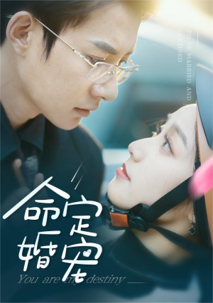 命定婚宠(61集) 命定婚宠(61集)上热门短剧