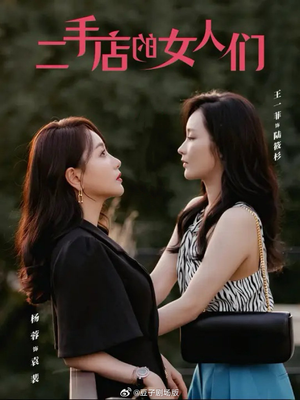 二手店的女人们(66集) 二手店的女人们(66集)最后的大结局
