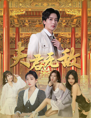 夫君无敌(100集) 夫君无敌(100集)好看短剧分享