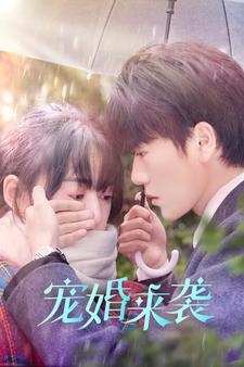 宠婚来袭(102集) 宠婚来袭(102集)热门短剧在线看