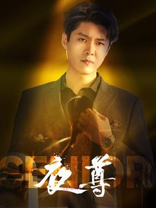 夜尊(95集) 夜尊(95集)热播短剧分享