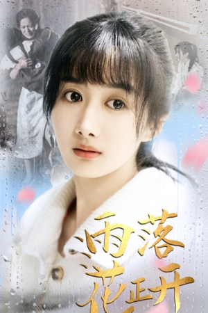 雨落花正开(62集) 雨落花正开(62集)精彩短剧分享