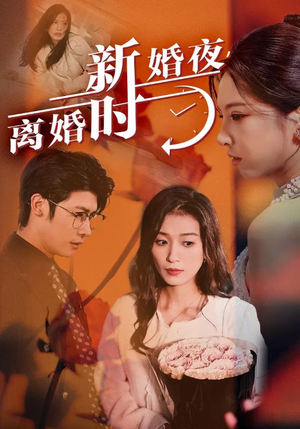 新婚夜,离婚时(35集) 新婚夜,离婚时(35集)精彩不断免费看