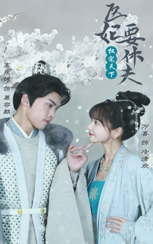 权宠天下:医妃要休夫(94集) 权宠天下:医妃要休夫(94集)免费版