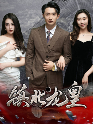 镇北龙帅(97集) 镇北龙帅(97集)在线播放