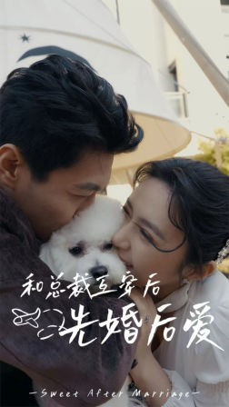 和总裁互穿后先婚后爱(60集) 和总裁互穿后先婚后爱(60集)在哪里看