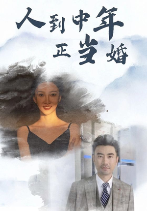 人到中年正当婚(81集) 人到中年正当婚(81集)短剧太好看了吧