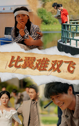 比翼难双飞(30集) 比翼难双飞(30集)免费观看