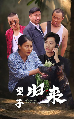 望子归来(50集) 望子归来(50集)精彩短剧追不停