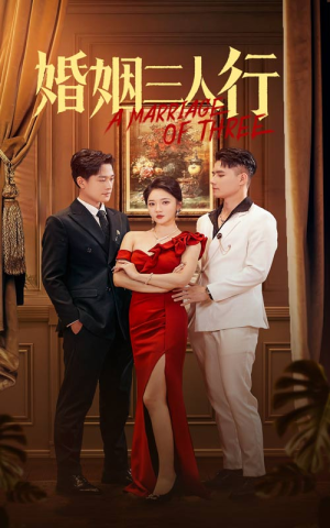 婚姻三人行(31集) 婚姻三人行(31集)全集