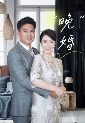 晚婚(65集) 晚婚(65集)一起追生活短剧