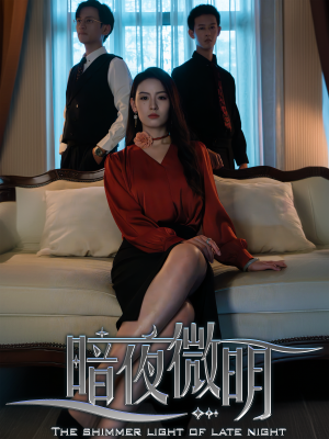 暗夜微明(70集) 暗夜微明(70集)精彩短剧来袭