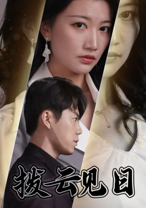 拨云见日(30集) 拨云见日(30集)真的太好看了