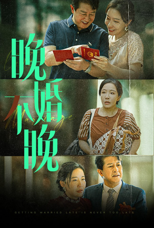 晚婚不晚(30集) 晚婚不晚(30集)高质量短剧推荐