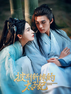 披荆斩棘的太子妃(80集) 披荆斩棘的太子妃(80集)短剧热播中