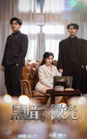 黑暗微光(66集) 黑暗微光(66集)免费短剧完整版